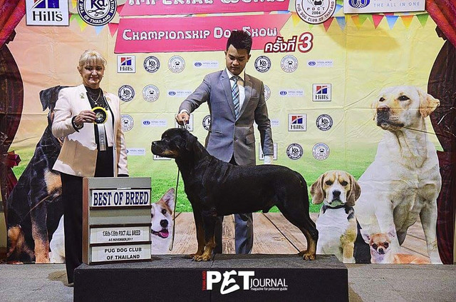 S 28057655