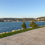 IMG-2545