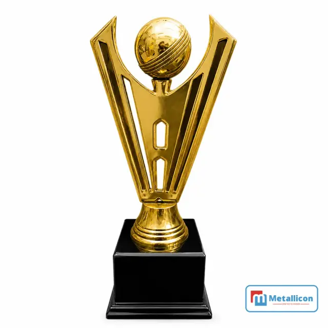 Cricket Trophy Winners - 2