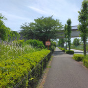 IMG 20260601 125320