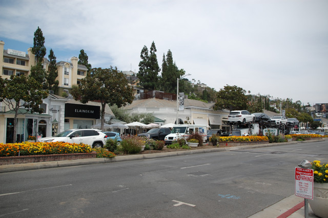 DSC 4502.jpg
