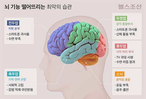 자본주의가 당신의 두피를 말리고 있다: 48세 실전 투자자가 분석한 탈모/새치의 경제학과 생존 전략