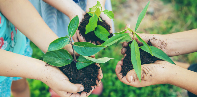 Plantation Drive