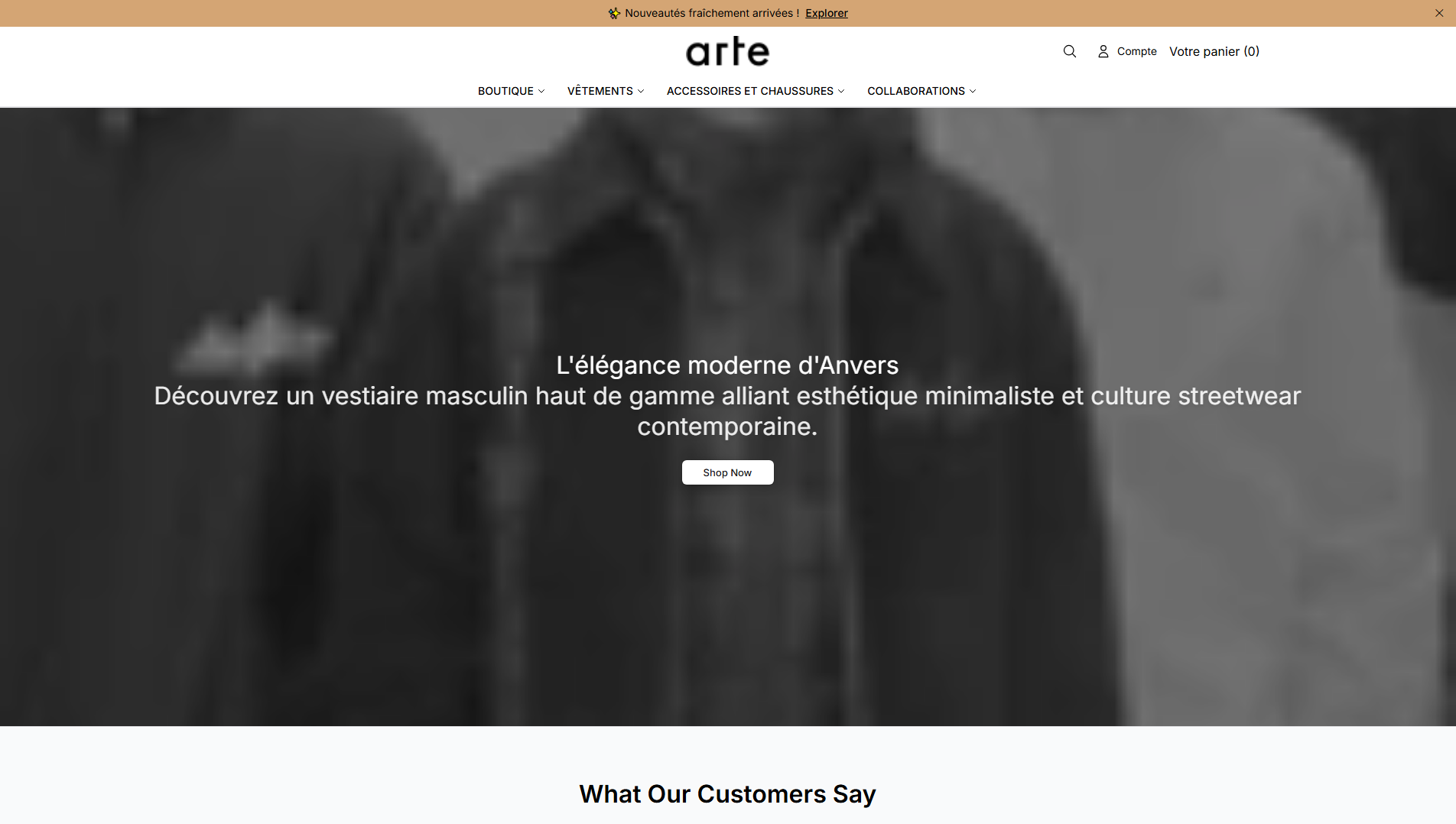 Stored capture of arteantwerpstudio.shop
