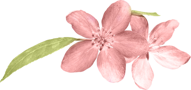 fdidesigns believe in miracles e52.png