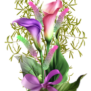 10e1a95d30c90b1609aebd77c338546f