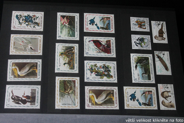 IMG-2241