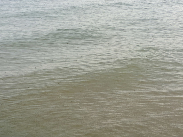 IMG 0067