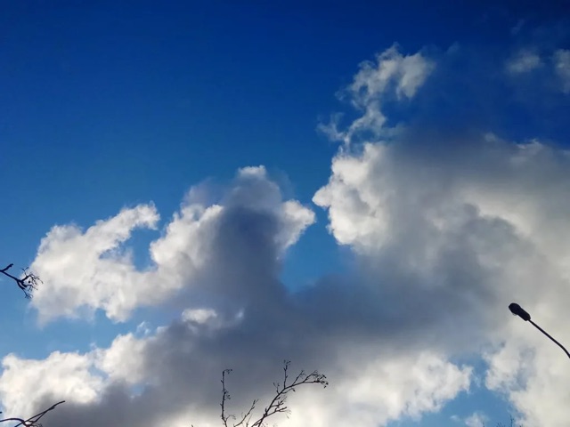 https://i.ibb.co/ynhdM80v/IMG-0587.jpg