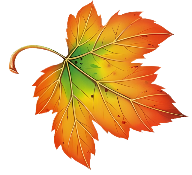 dc6aa18be22f54b694a73c8cb88bb119.png
