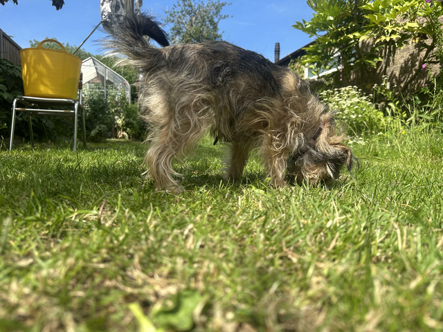 IMG 8389.jpg