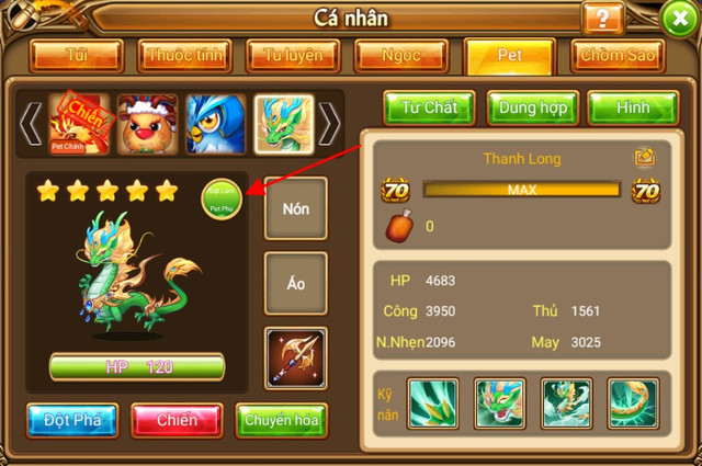 Ảnh 7