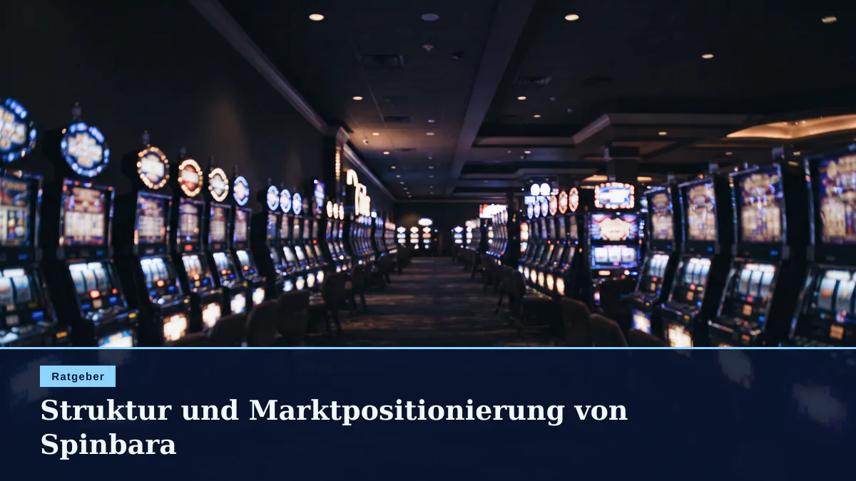 Struktur und Marktpositionierung von Spinbara