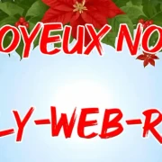 VERT joyeux noel de bebert