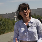 IMG 4467