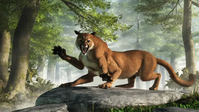 Neville - Wampus Cat.webp