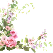 shutterstock 779000863 Converted (1)