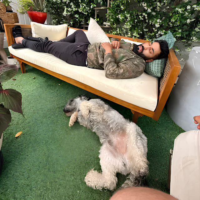 Dogs napping at Duke's