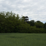IMG 2363