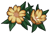 Yellow flowers