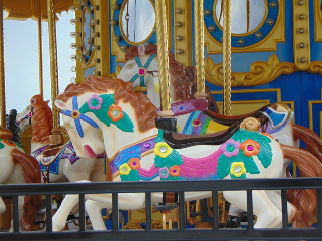 DSC04675.jpg