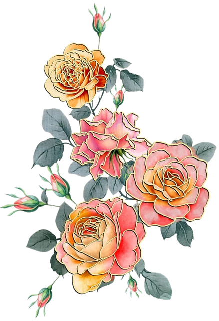 37fd95bb1b7f5f0d9ead8032d13457c5.png