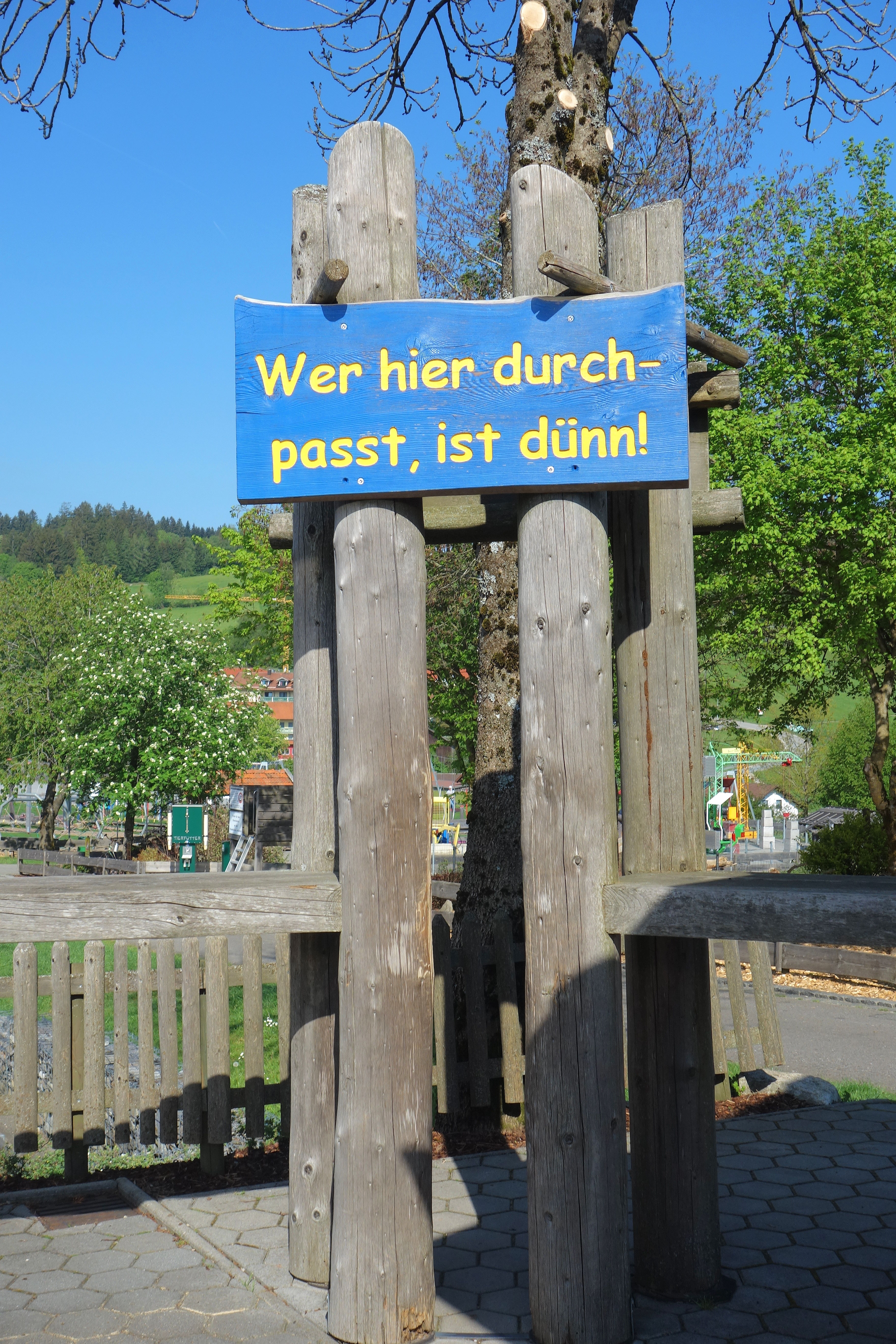 DSC07935