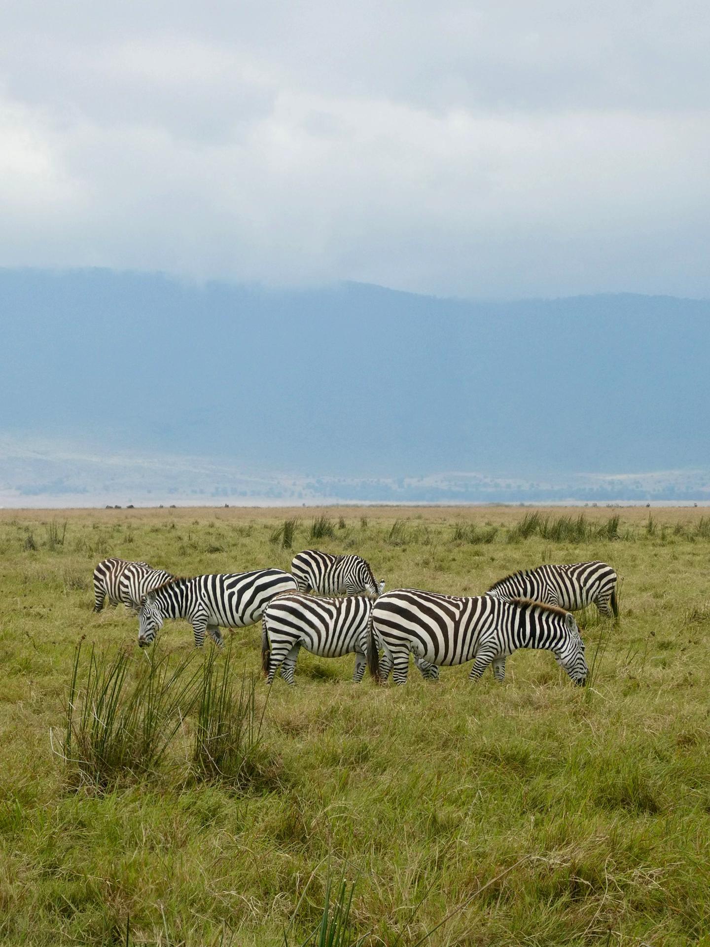 Serengeti National Park