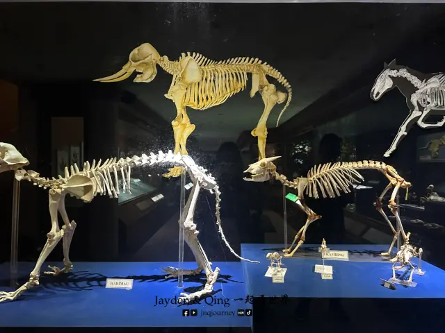 Terengganu State Museum4.webp