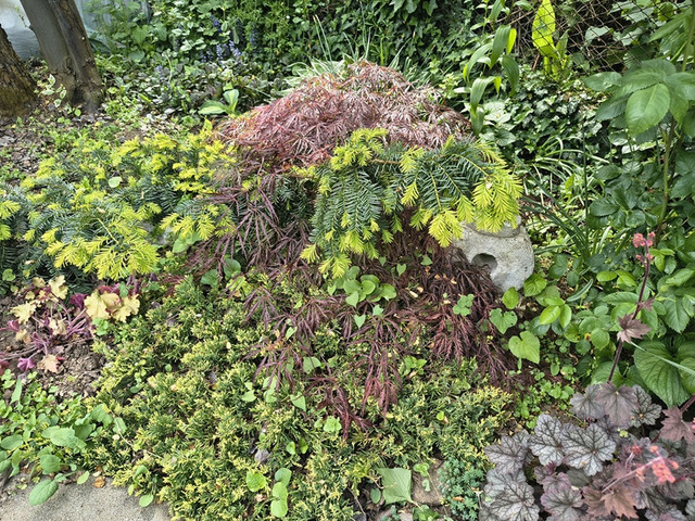 garden9.jpg