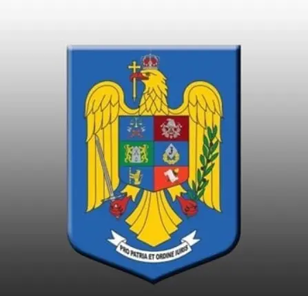 MAI precizează procedura de achiziție a armamentului de tip NATO și a muniției
