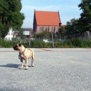 P1040167