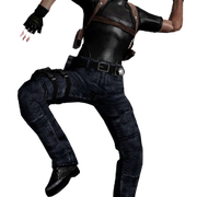 re4img-9