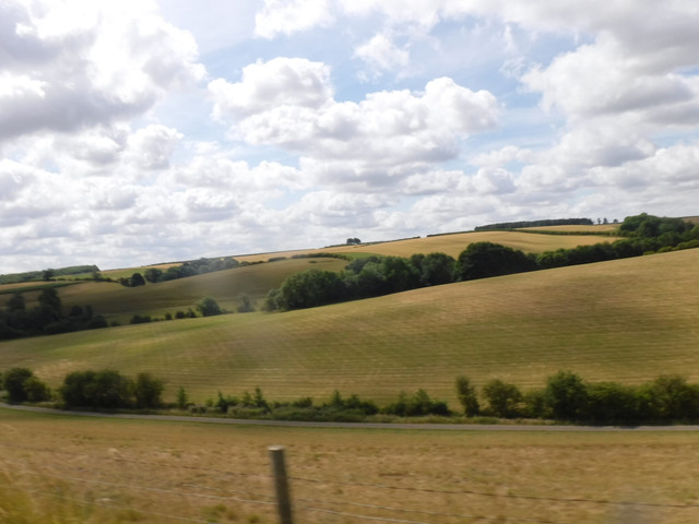 DSCF6169.jpg