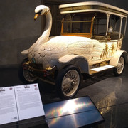 Swan1