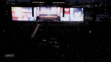 aespachella-1.gif