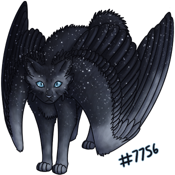 Pet Image