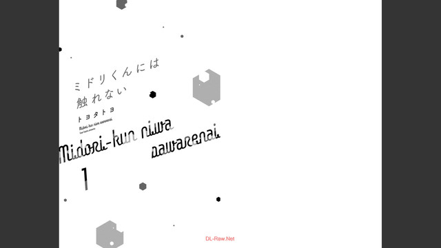 DLRAW-NET-Net-0002