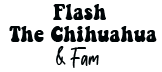 Flash The Chihuahua and  Fam.