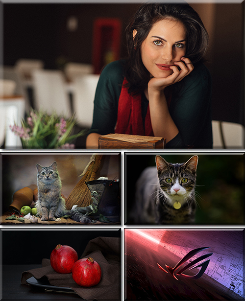 Computer Desktop Wallpapers Collection. Part 2771