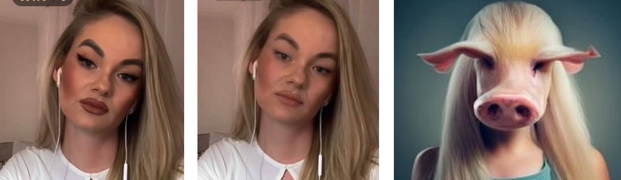 ZYvbjo8.jpg