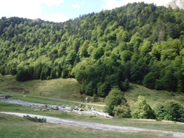 DSCF6218