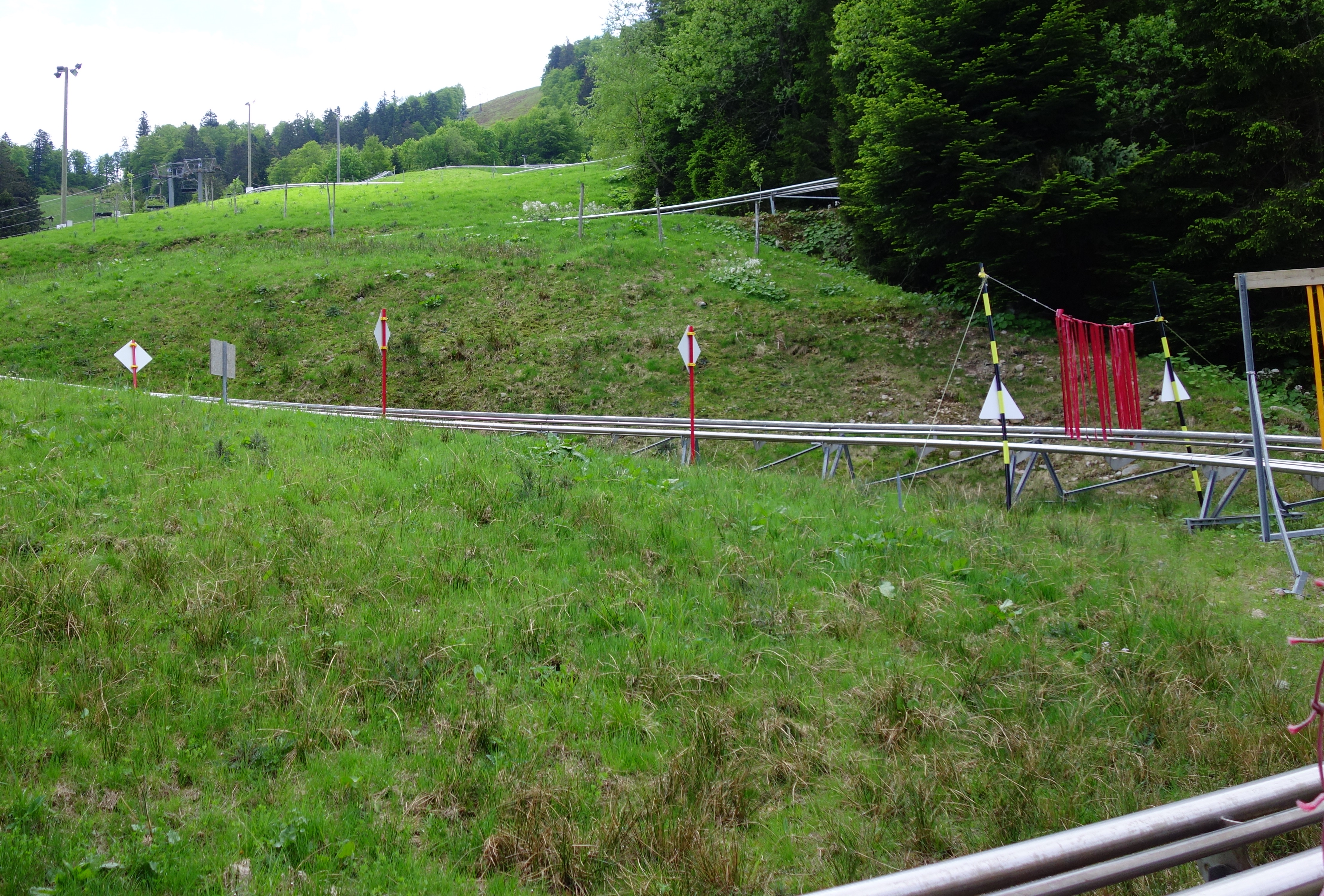 DSC00835