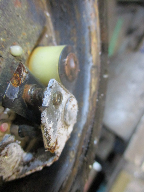 IMG-9089.jpg
