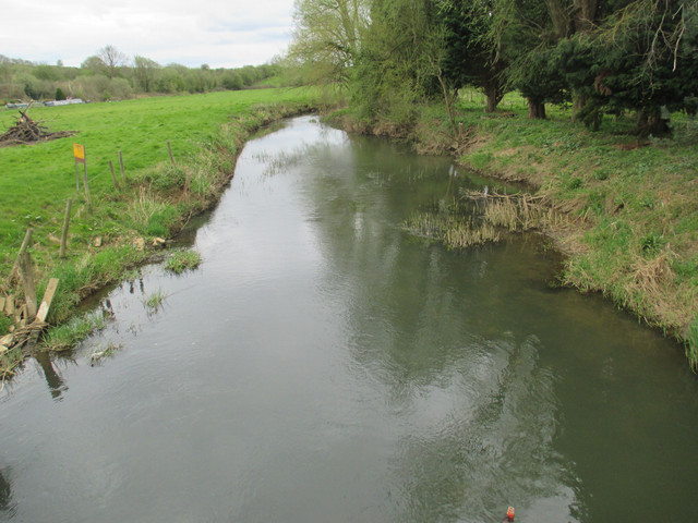 IMG-4082.jpg