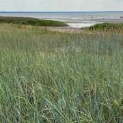 IMG-2555