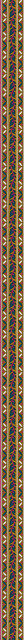 202454041212.jpg