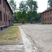IMG-5838