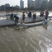 IMG-4054