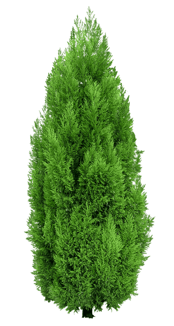 WQTYb-Mknlcx-F-1.png